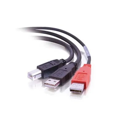 Cables To Go 28108 6ft USB 2.0 One B Male To Two A Male Y - Cable - G5 Network GroupNetwork Cables